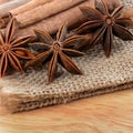 Sticks cinnamon and badian close up Royalty Free Stock Photo