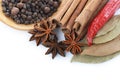 Sticks cinnamon and badian close up Royalty Free Stock Photo
