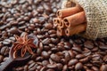 Cinnamon sticks lie on coffee beans. A spoon made of dark chocolate with anis flower lies on the coffee beans.