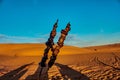 Sticks holding grilled meat in the desert Royalty Free Stock Photo