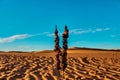 Sticks holding grilled meat in the desert Royalty Free Stock Photo