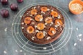 Sticky Chocolate Plum Cake on Cooling Rack Royalty Free Stock Photo