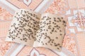 Sticky fly tape with many flies trapped on ceramic floor tile in Vietnam Royalty Free Stock Photo