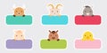 Sticky labels set for baby name. Cute cartoon animals shaped notepads, memo pad, flag markers for office school, scrapbooking,