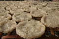 Sticky rice cakes Laos Royalty Free Stock Photo