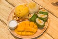 A sticky rice mango with ice cream and waffle in warm light