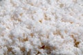 Sticky rice for sushi Royalty Free Stock Photo