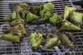 Sticky rice wrapped in banana leaves, roasted on the grill is a popular food in Thailand Royalty Free Stock Photo