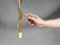 Sticky tape for catching insects with glued flies, finger shows