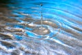 Stiffened water drop falling on a water surface Royalty Free Stock Photo