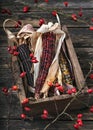 Stil life with dried Indian corn cobs of different colors and rose hip branches in an old wooden box. Royalty Free Stock Photo