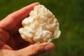 Stilbite crystal from India held in a hand