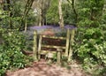 Stile into an English Bluebell wood