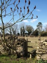 Stile over a Stone Wall