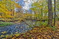 The still colorful leaves and the flowing water - Fall in Central Ontario, Canada Royalty Free Stock Photo