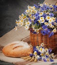 Still Daisies and cornflowers in the basket. Bread and milk on t