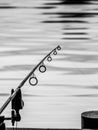 Still fishing Royalty Free Stock Photo