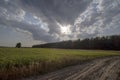 Summer day . The sun shines through the dark clouds. Fields, forests, dirt road. Royalty Free Stock Photo