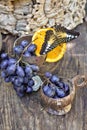 The still-lfe with beautiful butterflies and fruits