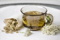 Still life of Achillea millefolium yarrow or common yarrow herbal medicinal tea in glass with dry tea powder and fresh blossoms.