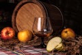 Still life with alcohol and apples Royalty Free Stock Photo