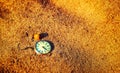 Still life - Antique rotten pocket watch and sea shell buried partial in the sand Royalty Free Stock Photo