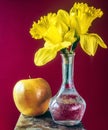 Still life of apple and dafodil