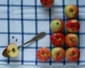 Apples season Royalty Free Stock Photo