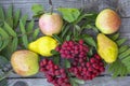 Still life with apples, pears and red rowan. Vegetables, berries and flowers on a wooden background Royalty Free Stock Photo