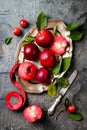 Still life with apples on vintage plate over gray table, top view. Fresh red apples Baya Marisa with leaves Royalty Free Stock Photo