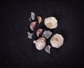 A still life arrangement of Three whole garlic bulbs grouped on Royalty Free Stock Photo