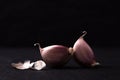 A still life arrangement of Three whole garlic bulbs grouped on Royalty Free Stock Photo