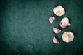 A still life arrangement of Three whole garlic bulbs grouped on Royalty Free Stock Photo