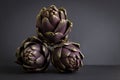 Still life artichokes on dark grey background - fresh organic artichoke flower Royalty Free Stock Photo