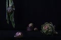 Still life with artichokes