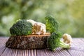 Still life with assortment cabbages