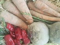 Still life with assortment cabbages on wooden table