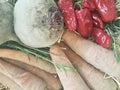 Still life with assortment cabbages on wooden table