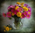 Still life with asters and chrysanthemums Royalty Free Stock Photo