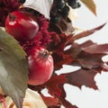 Still life with autumn apples, rose and wild grape Royalty Free Stock Photo