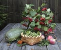 Still life with autumn bouquet and vegetable marrow