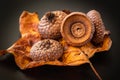 Still life of autumn elements including acorn caps and oak leaves