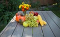 Still life from the autumn harvest. organically grown grapes, peppers, corn, pumpkin, apples in assortment on table Royalty Free Stock Photo