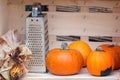 Still life from autumn pumpkins Royalty Free Stock Photo
