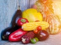 Still life of autumn vegetables: melon and watermelon, corn, eggplant, peppers, tomatoes Royalty Free Stock Photo