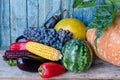 Still life of autumn vegetables: melon and watermelon, corn, eggplant, peppers, tomatoes Royalty Free Stock Photo