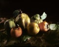 Autumnal fruits on leaves