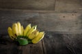 Still life backyard garden banana, papaya, mango and lettuce