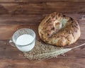 Still life of baked lavash, wheat ears, grains and mugs of milk.