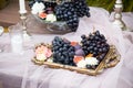 Still life: basket with grapes, figs and plums Royalty Free Stock Photo